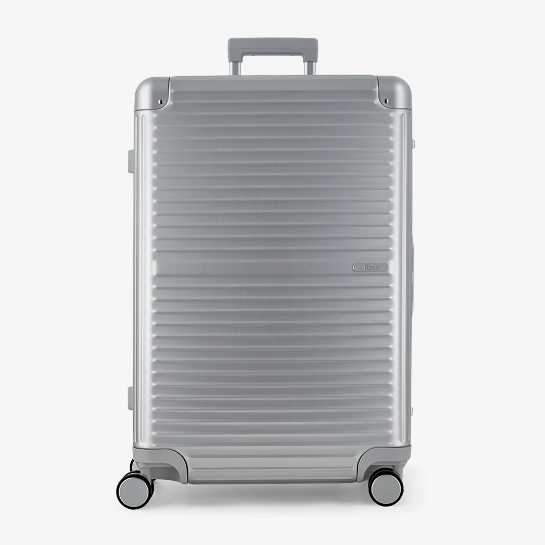 Axel Large Suitcase in Silver - Image 2